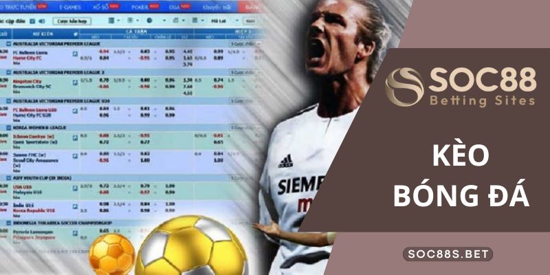 Hướng dẫn đọc kèo bóng đá chuẩn đéc: Kèo Chấp, Tài Xỉu, 1X2 Bật mí cho cược thủ cách đọc kèo bóng đá chuẩn nhất tại SOC88