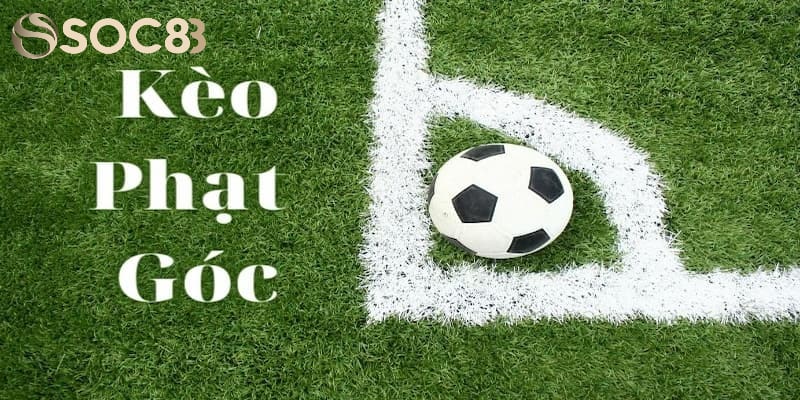 Kinh nghiệm soi kèo phạt góc ít ai biết đến