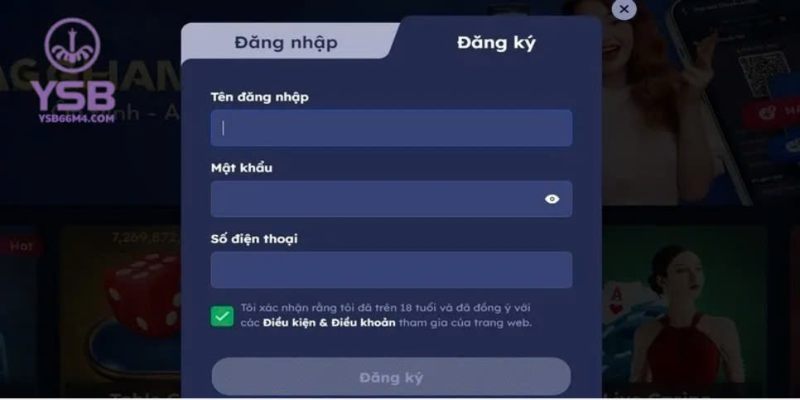 1 vài thông tin chung về YSB66